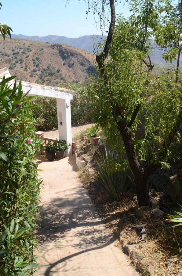 Casa Del Limon Lägenhet Canillas de Aceituno Exteriör bild